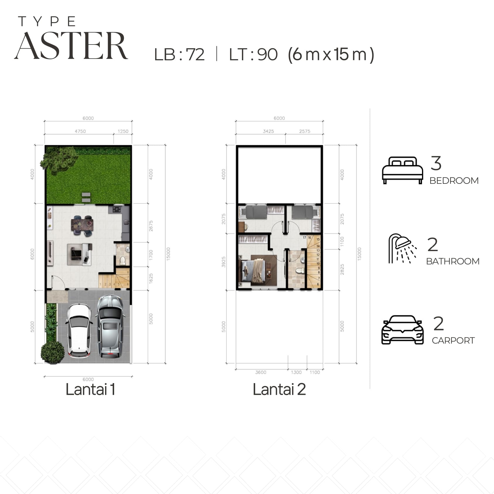 Modern Mansion Garden Tipe Aster
